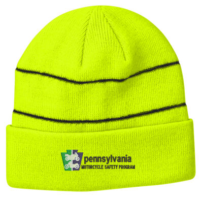 Big Accessories Reflective Cuffed Beanie Thumbnail