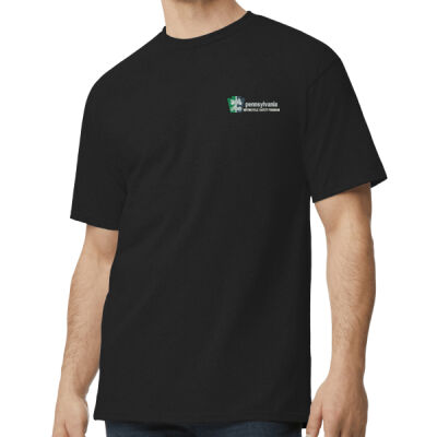 Gildan Tall 100% US Cotton T Shirt Thumbnail
